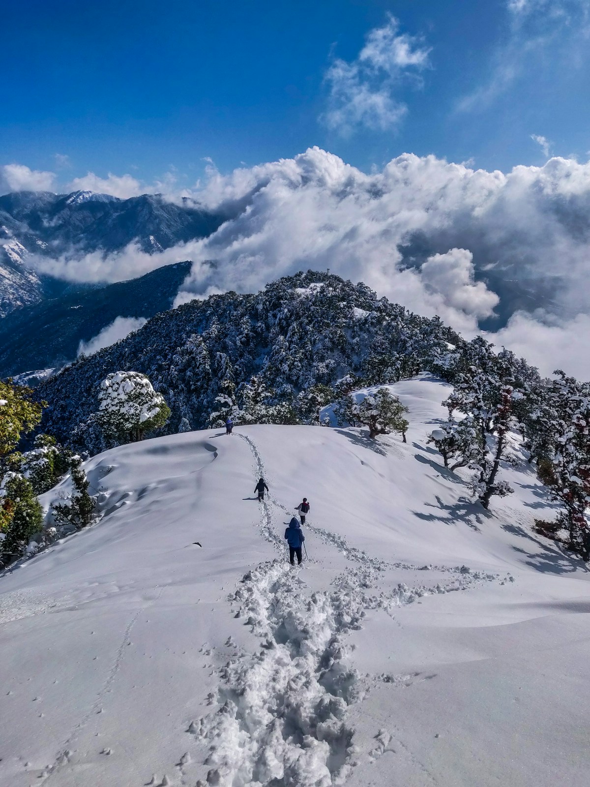 Backpacker hiking in mountains